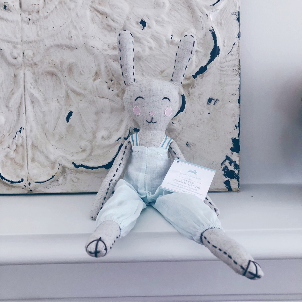 POTTERY BARN KIDS🐰 decorative boy bunny